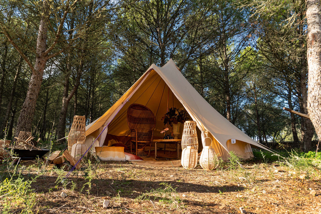 Where to Go Camping in the UK (2024)