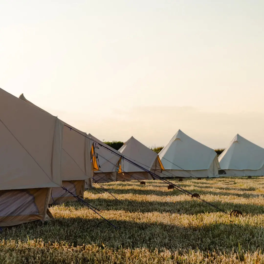 TRADE: PICKED, PITCHED & PRAISED ⭐️⭐️⭐️⭐️⭐️ - Boutique Camping