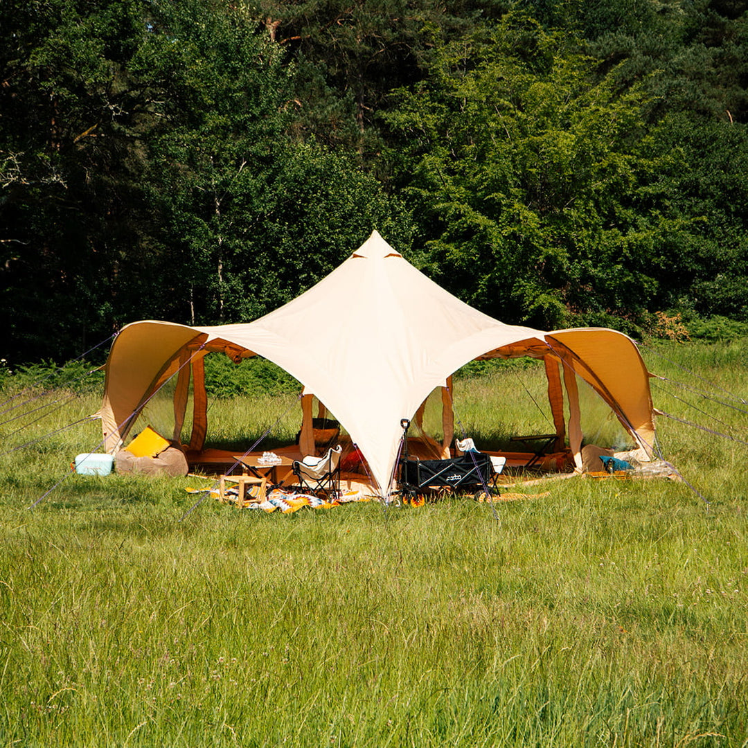 Something old, something new! ⛺️👀☀️