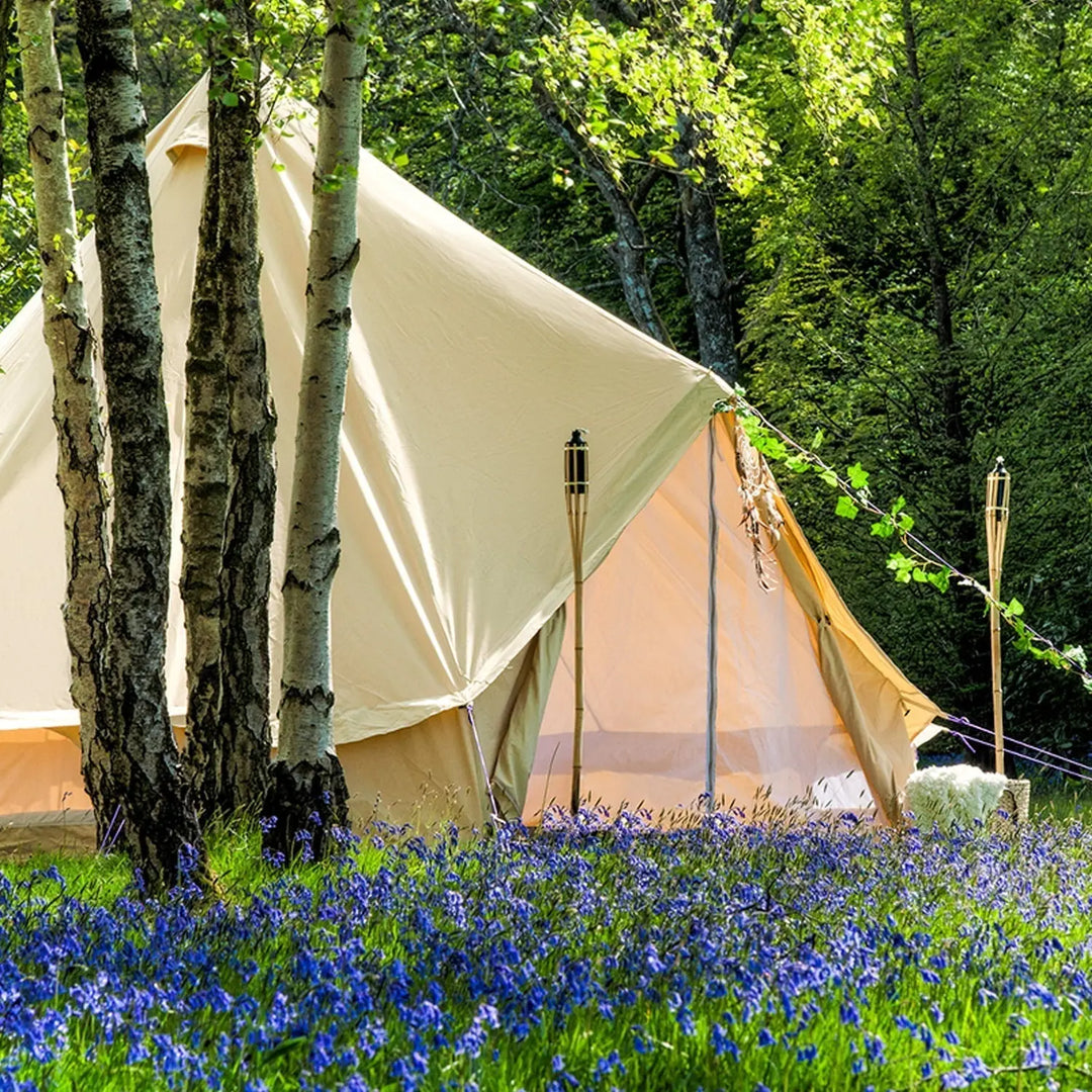 Bunnies-Blooms-and-Birds-Nature-to-Spot-on-Your-Easter-Campout Boutique Camping