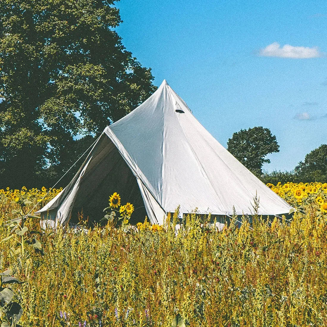 boutique camping CLASSIC CAMPING BELL TENT TIPI GLAMPING CANVAS
