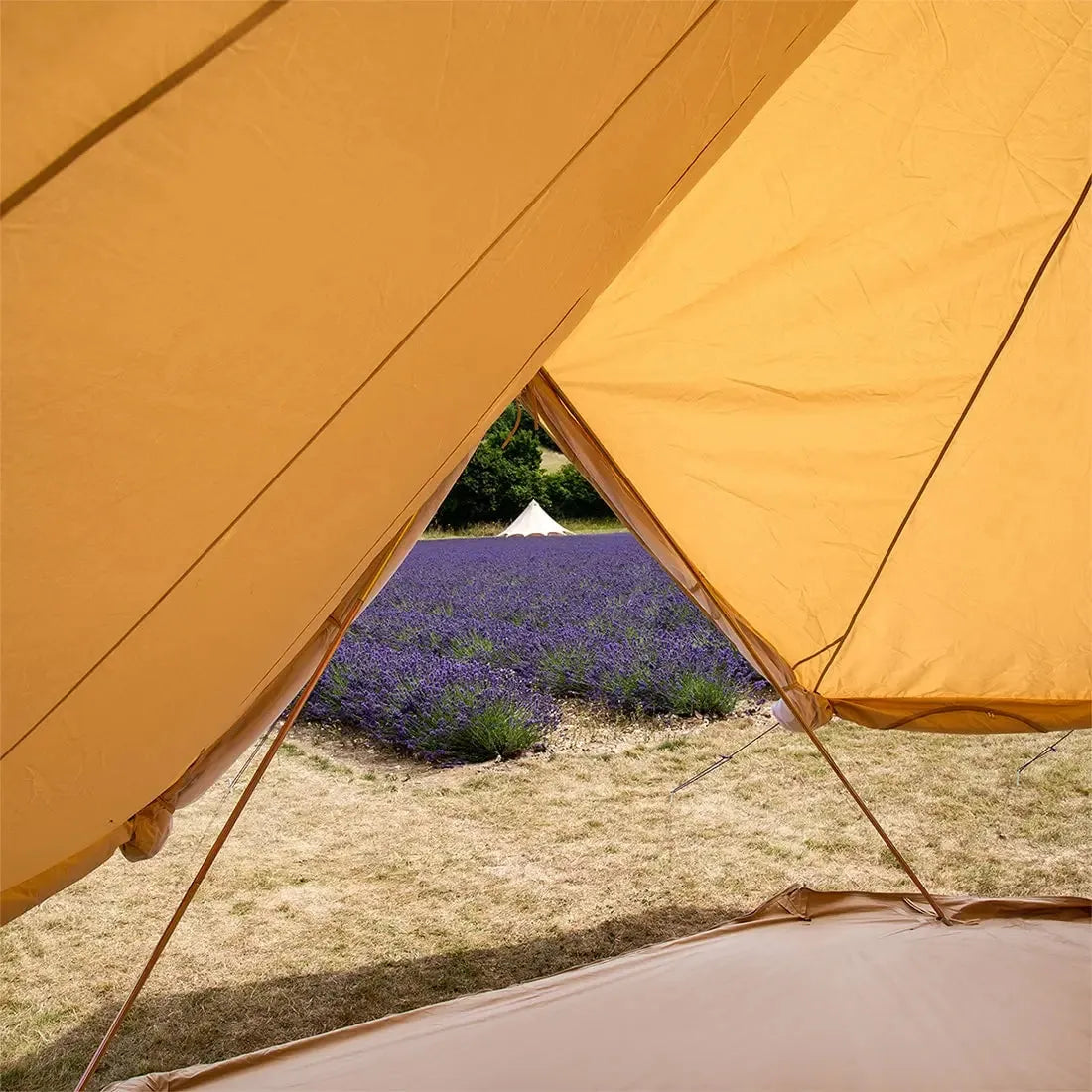 classic bell tent tipi double quad multi door canvas glamping boutique camping