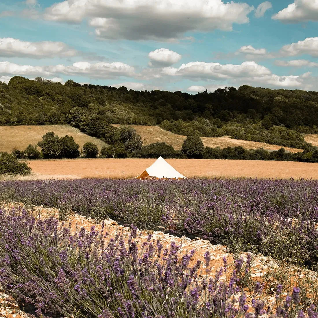 bell tent plus tent glamping boutique camping canvas tipi