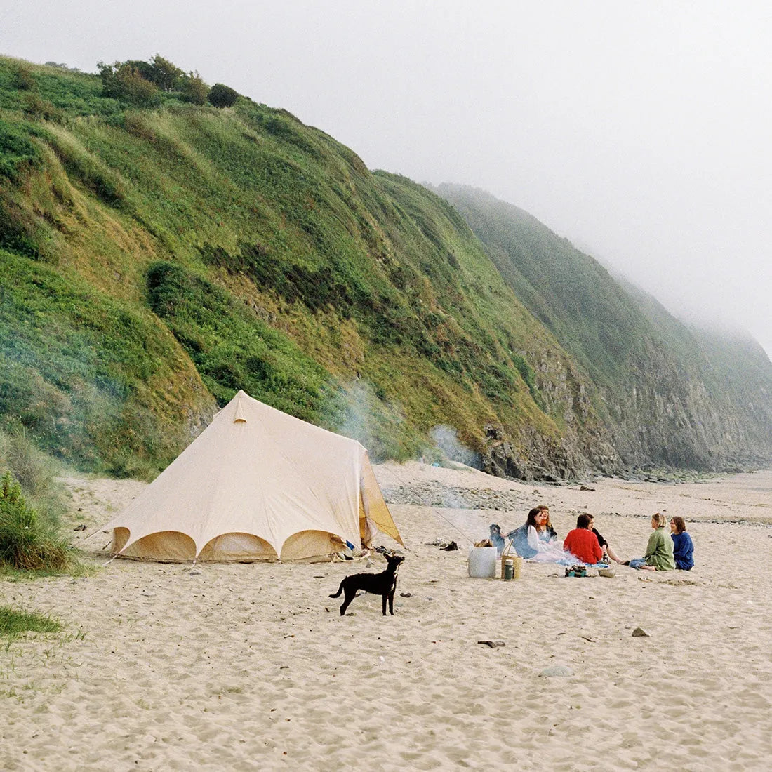 DOG & FRIENDS CAMPING ON BEACH
