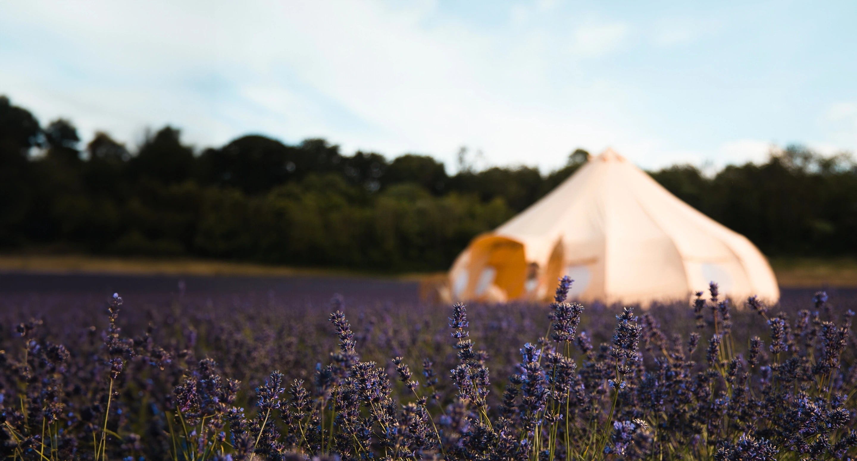 Boutique Camping Yurt Bell Tent Lavender