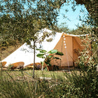 view of the boutique camping tucana single door glamping tent behind trees and plants on a sunny day