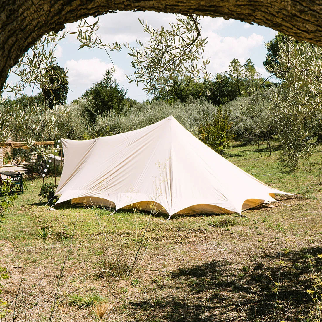 side view of the tucana tent with a large tree branch framing the picture and greenery all around