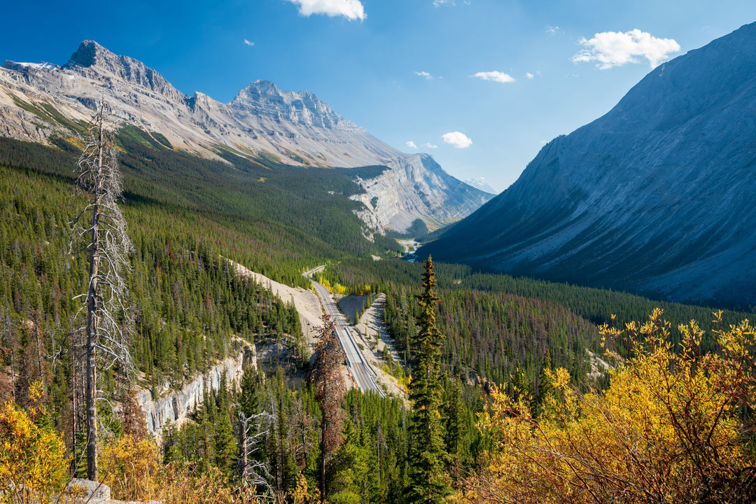 The best places to camp in the US