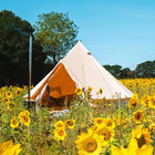 classic glamping bell tent boutique camping tipi girl boho sunflower