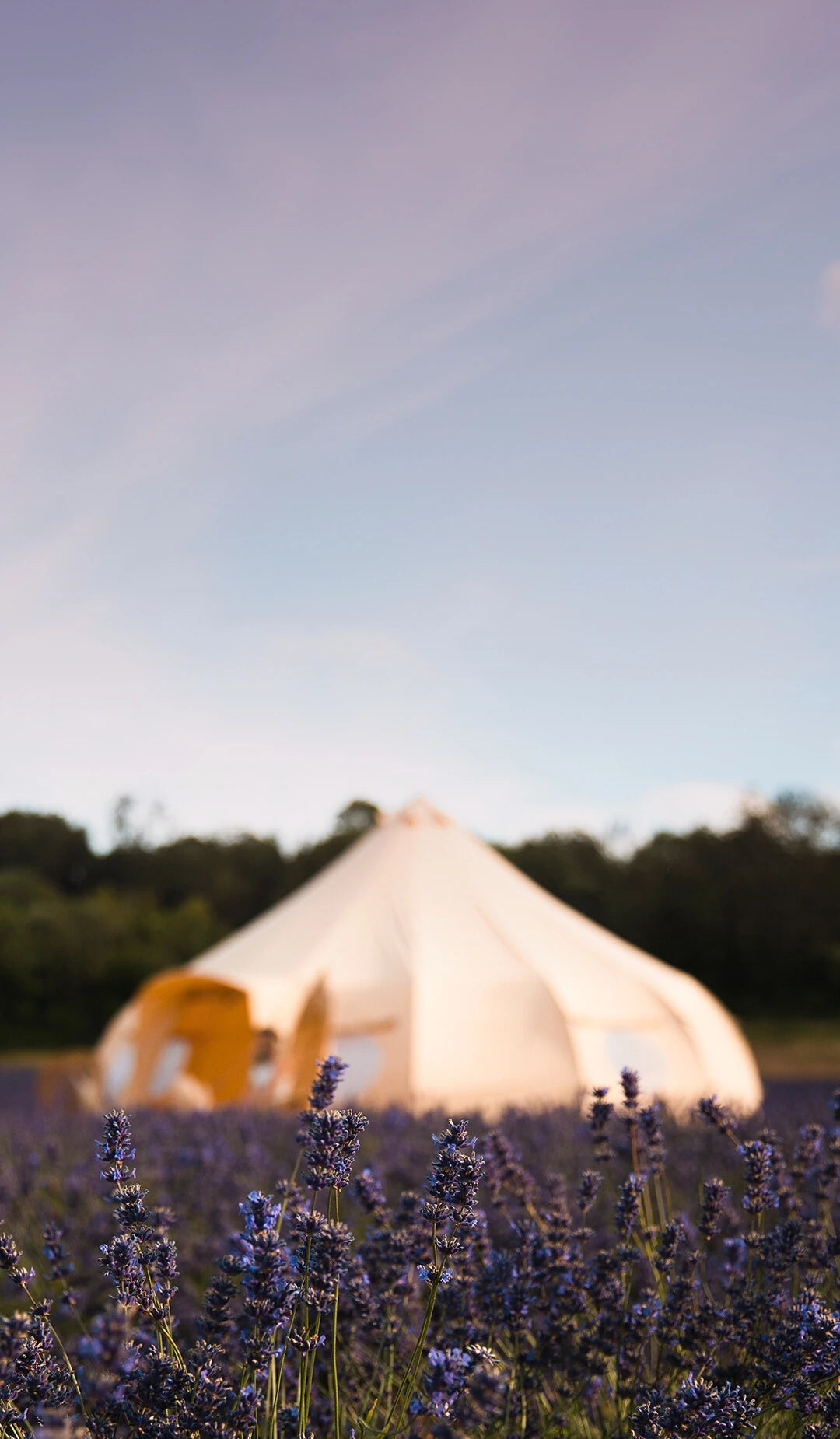 Premium Bell Tents | Boutique Camping® Est 2010 Premium Bell Tents | Boutique Camping® Est 2010