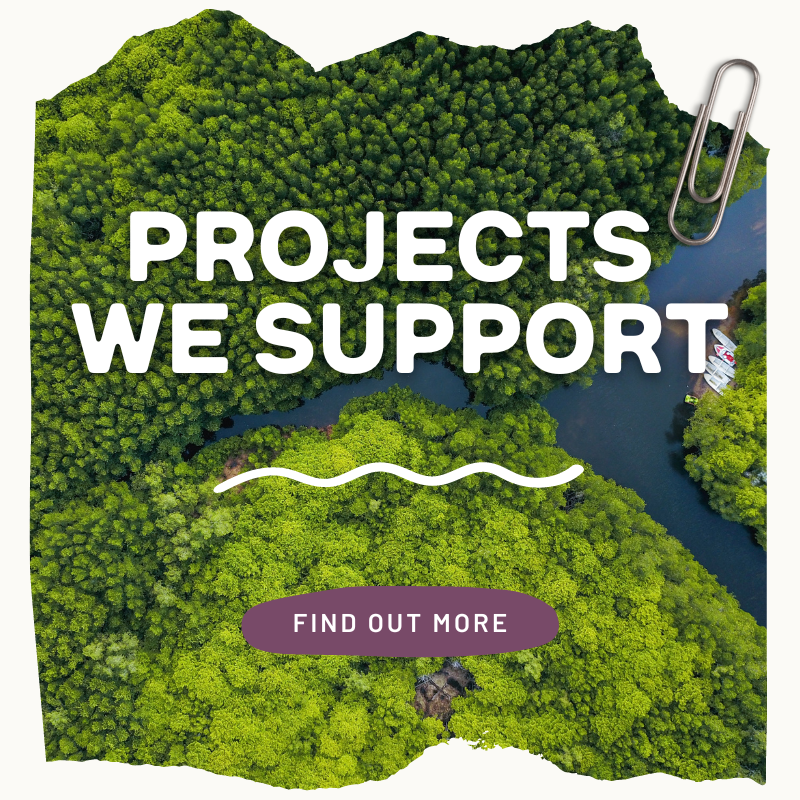 CARBON NEUTRAL JOURNEY boutique camping the green glamping journey