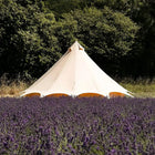 back of boutique camping star bell tent in lavender field