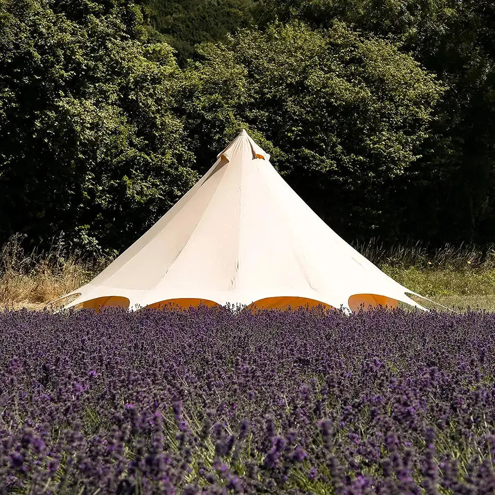 back of boutique camping star bell tent in lavender field