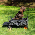 boutique camping electric camping wagon  with dog inside