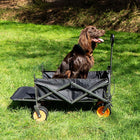 boutique camping electric camping wagon  with dog inside