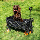 boutique camping electric camping wagon  with dog inside