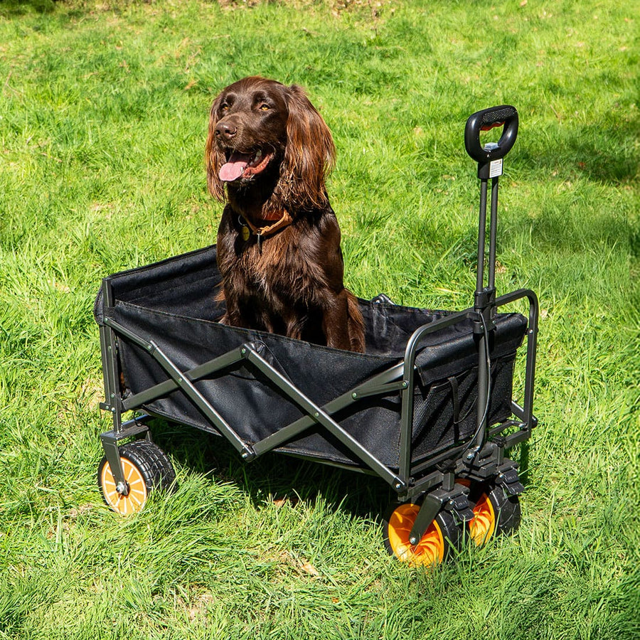 boutique camping electric camping wagon  with dog inside