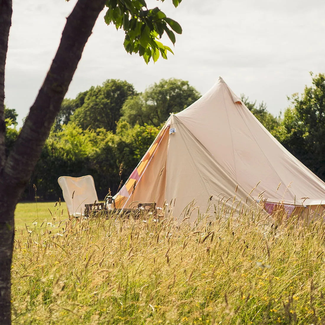 Triangle Tarp
