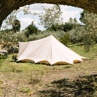 side view of the tucana tent with a large tree branch framing the picture and greenery all around 